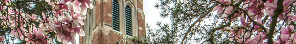 Michigan State University banner